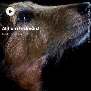 Allt om friskvård