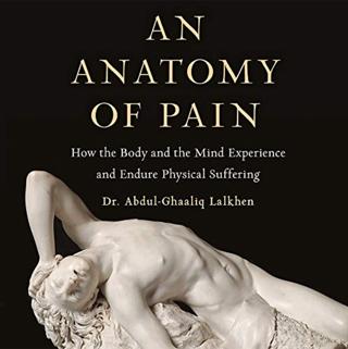 The Art and Science of Easing Pain with Abdul-Ghaaliq Lalkhen, MD