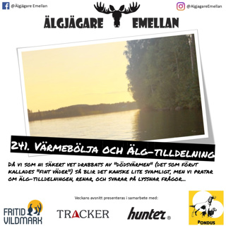 241. Värmebölja & Älg-tilldelning