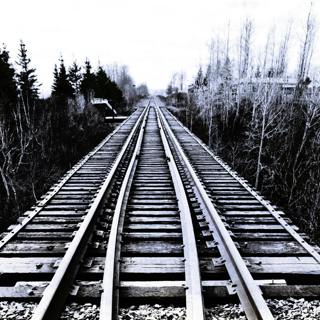 The Bridge