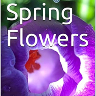 Spring Flowers Volume 56 Fancy by Daniel Lucas