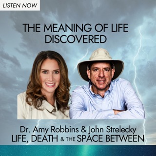 The Meaning of Life Discovered