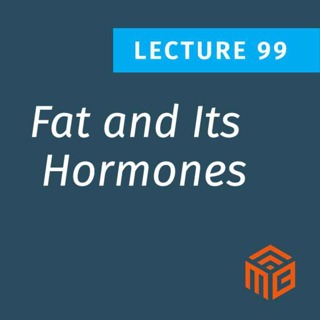 How Fat Hormones Affect Appetite, Inflammation, and Heart Health