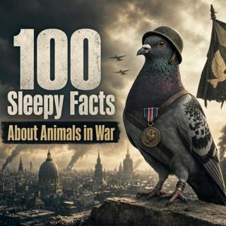 100 Sleepy Facts About Animals in War — Fall Asleep to History With Gentle Stories of Horses, Pigeons, Dogs, and Mules