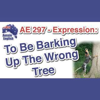 AE 297 - Expression: To Be Barking Up The Wrong Tree