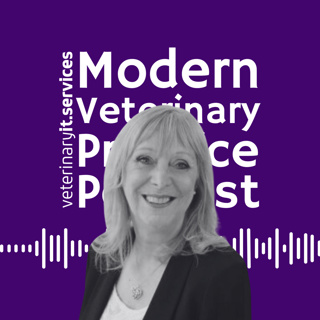 From Survival Mode to Intentional Leadership: Building Culture That Sustains Teams in Veterinary Practice - Episode 51