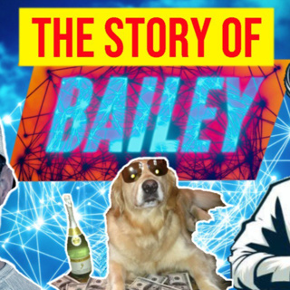 The Story of Bailey - With DisoBailey and DrZer_eth