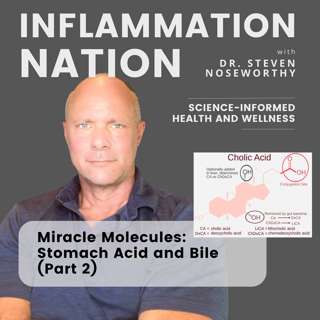 170 | Miracle Molecules: Bile (Part 2) - The Unsung Heros of Immunity and Gut Health