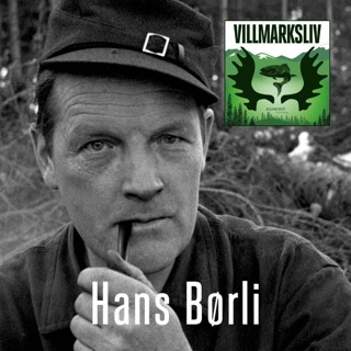 Hans Børli - skogens dikter