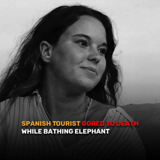 Good Morning Thailand EP.796 | Spanish Tourist Gored to Death While Bathing Elephant & More..