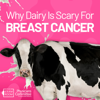 Dairy Is Scary! The Milk and Cancer Connection