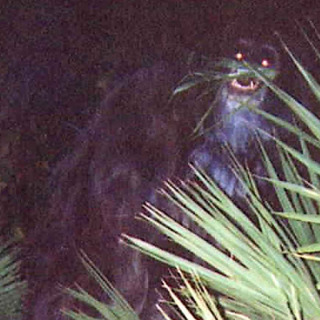Chilling Mysteries That Defy Explanation