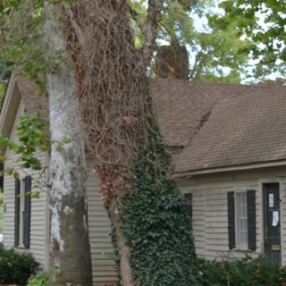 Historic Nail House in Bridgeton NJ