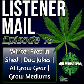 Winter Growing in a Shed, AI & Automated Grow Rooms, Bud Rot vs Potency, Finding Your Growing Style & Choosing Strains | Final Listener Mail