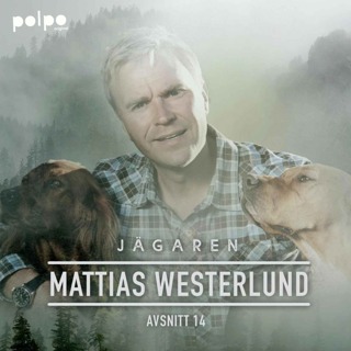 Mattias Westerlund