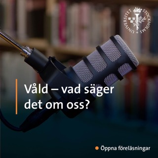 Våld – vad säger det om oss?