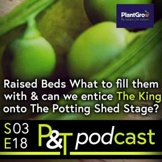 Raised Beds? What to fill them with? Can we entice the King onto the Potting Shed Stage?