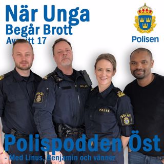 17. När unga begår brott