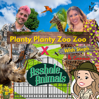 21. Planty Planty Interview-View #10: Alice Vassallo