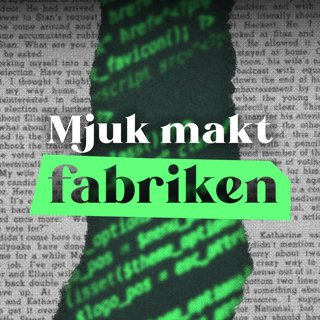 I betalt samarbete med en diktatur – så är influencers ett verktyg för mjuk makt