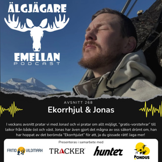 268. Ekorrhjul & Jonas