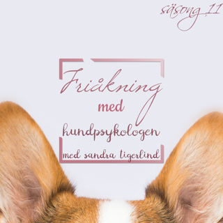 Friåkning med hundpsykologen