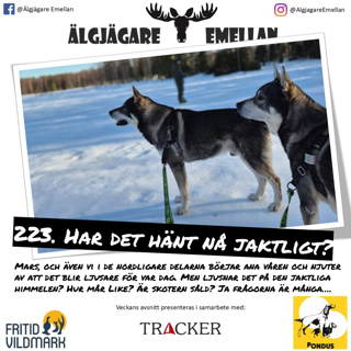 223. Har det hänt nå jaktligt?