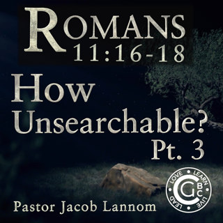 Romans 11:16-18, How Unsearchable Pt. 3 | Romans Chapter 11