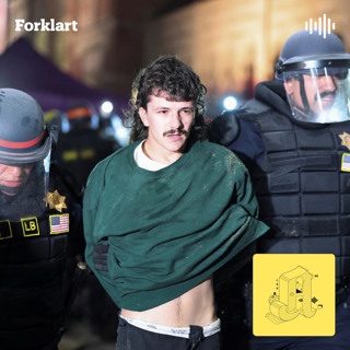 Studentopprøret i USA