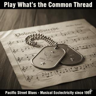 Episode 423: Musical Ecclectricity since 1991 - Pacific St Blues & Americana 11092025 _(Part 1 of 2)