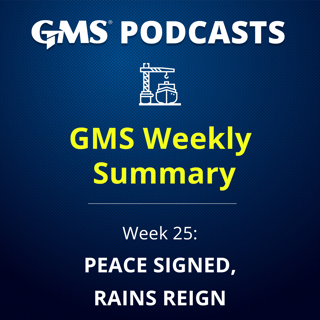 Ship Recycling Market Update Week 25 2026 | Peace Signed, Brent Drops to $78 & Monsoon Controls Supply