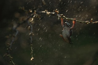 LET GO of Anxiety, Fear & Worries: A GUIDED MEDITATION ➤ Harmony, Inner Peace & Emotional Healing