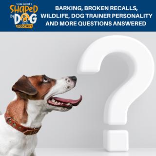 Barking, Broken Recalls, Wildlife, Dog Trainer Personality And More Questions Answered #192