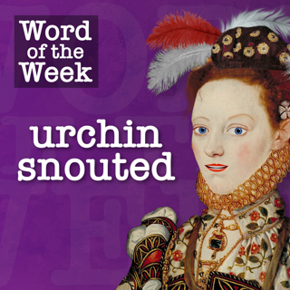 Tudor Time Machine Word of the Week: Urchin snouted