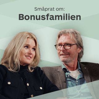 Småprat om bonusfamilien
