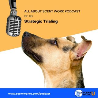 Strategic Trialing