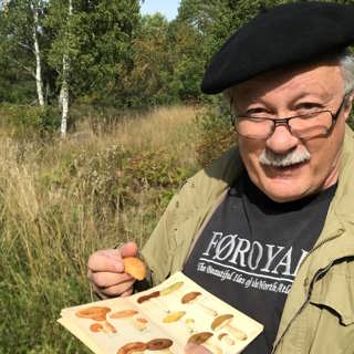 Så gick svensken från svamphatare till svampälskare
