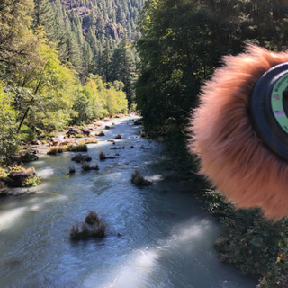 Episode 85: Footbridge Over the McCloud River
