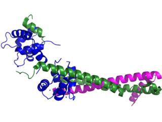 Podcast #224: Troponin