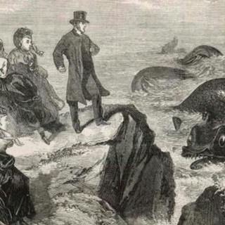 The Oilliphéist & other Irish Sea Beasts