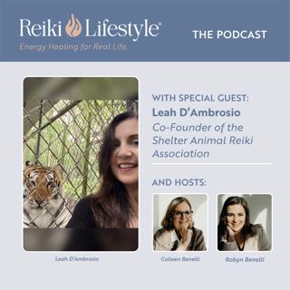 Shelter Animal Reiki Association: Healing with No Ego