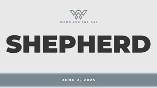 Shepherd