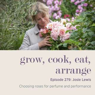 Josie Lewis: Choosing roses for perfume and performance - Episode 279