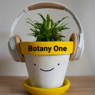 More plants will be 'losers' than 'winners' in the future, thanks to human activity