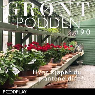 #90 Hvor kjøper du plantene dine?