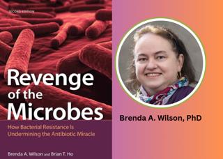 Antibiotics, antimicrobial resistance and the Revenge of the Microbes