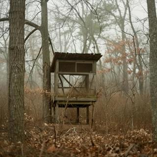 A Strange Man Wanted to Use My Deer Stand, I Wish I Never Found Out Why