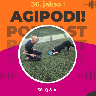 36. Q & A