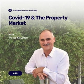 # 49 - Covid-19 and the Property Market