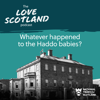 Whatever happened to the Haddo babies?
